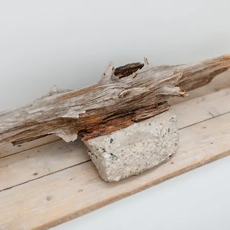 Haus Salz&sand Luettje Tide Appartamento